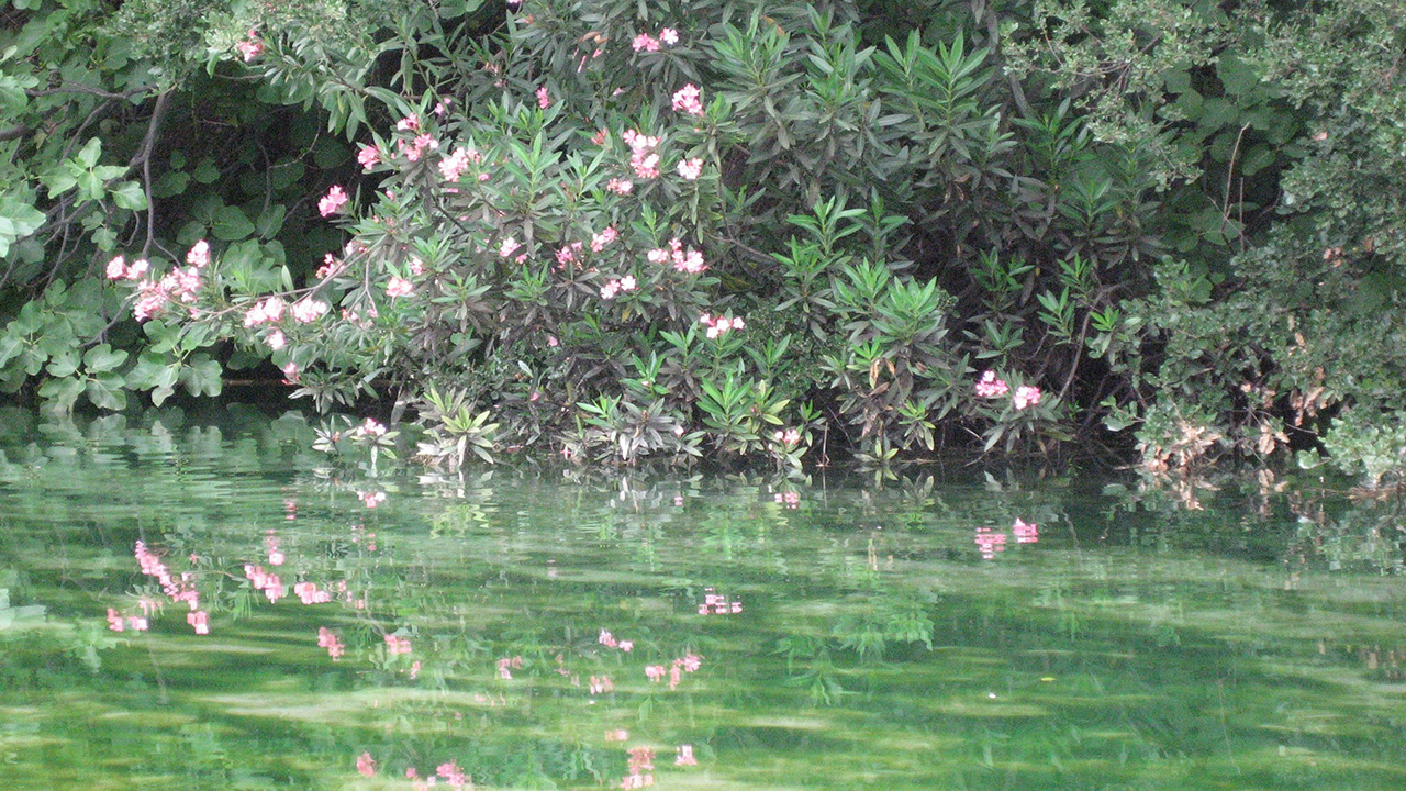 Aguas Termales En Montanejos