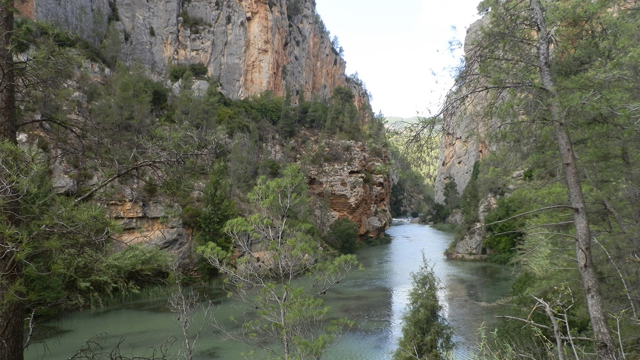 Aguas Termales En Montanejos