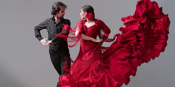 flamenko-ekskursija-v-valencii
